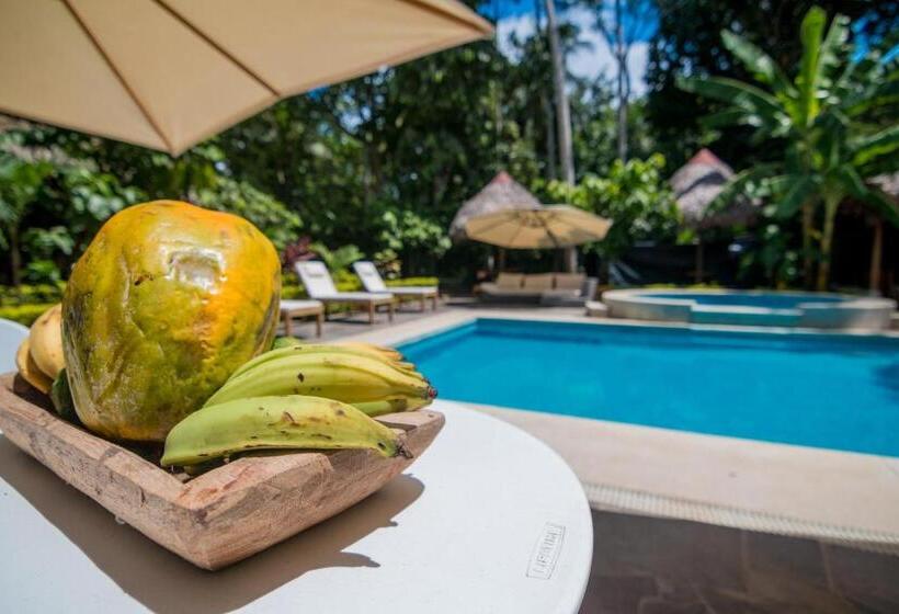 ユースホステル La Floresta Tarapoto Hostal