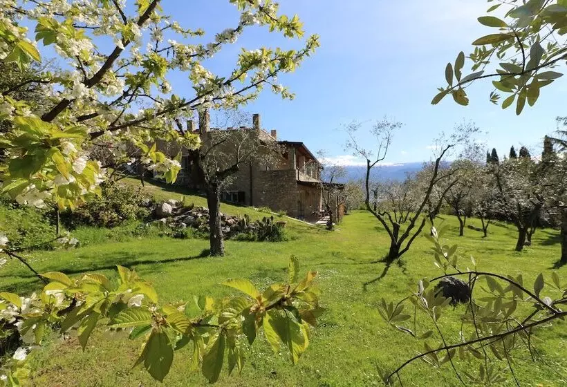 Aamiaismajoitus (B&B) La Cascata Negli Ulivi