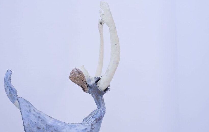 민박 La Valle Delle Ferriere