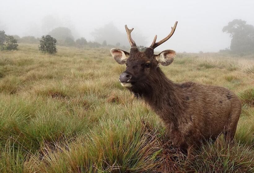 فندق Southern View Holiday Resort