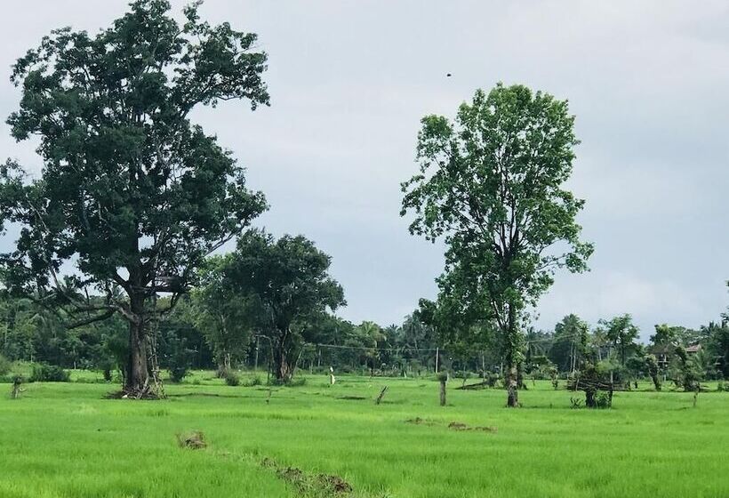 فندق Sunshine Resort & Spa Sigiriya