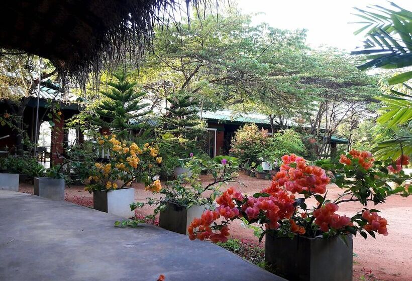 فندق Sunshine Resort & Spa Sigiriya