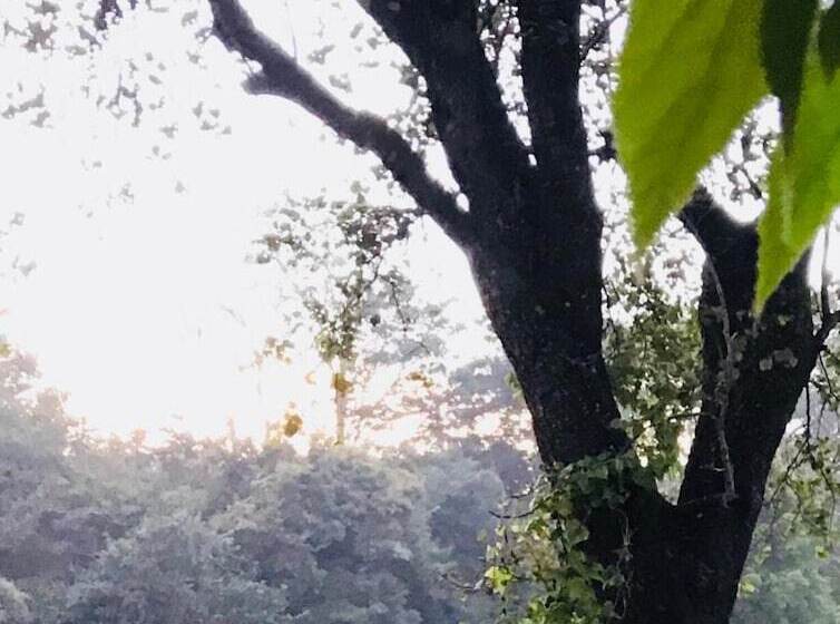 فندق Sunshine Resort & Spa Sigiriya