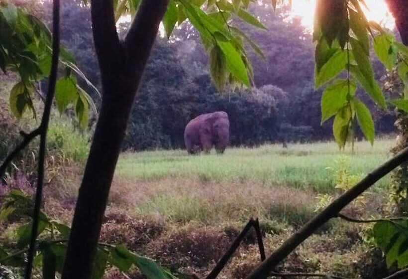 فندق Sunshine Resort & Spa Sigiriya