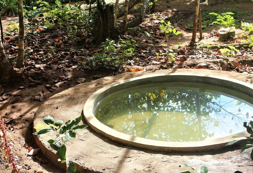 אתר נופש Mahagedara Wellness Retreat