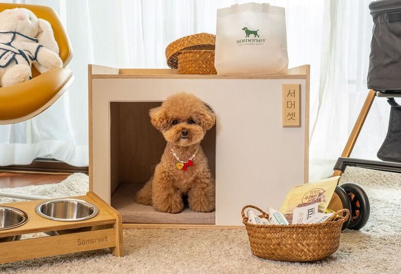 リゾートホテル Shinhwa Jeju Shinhwa World Hotels