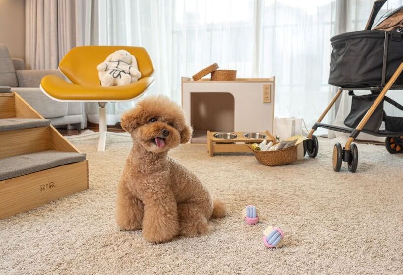 リゾートホテル Shinhwa Jeju Shinhwa World Hotels