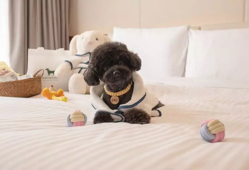 Lomakeskus Shinhwa Jeju Shinhwa World Hotels
