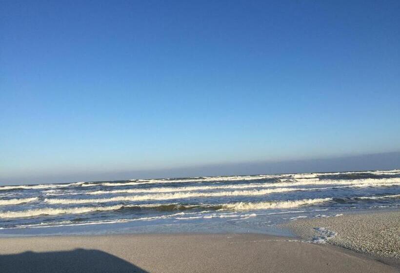 هاستل Max Mamaia Nord