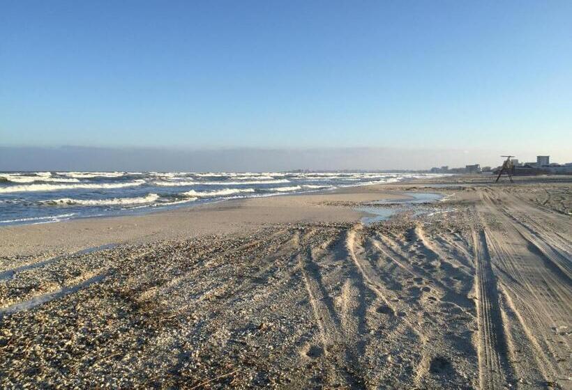 هاستل Max Mamaia Nord