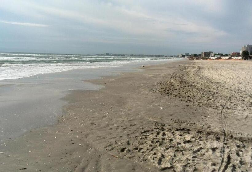 هاستل Max Mamaia Nord