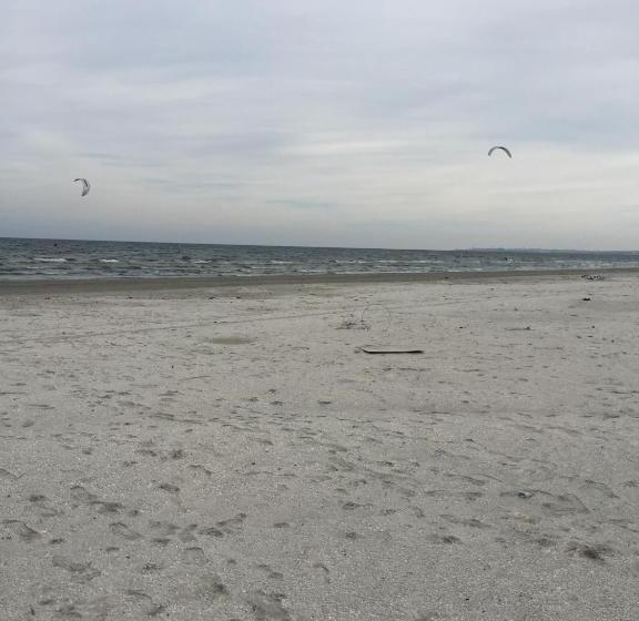 هاستل Max Mamaia Nord