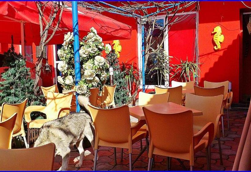 هاستل Max Mamaia Nord