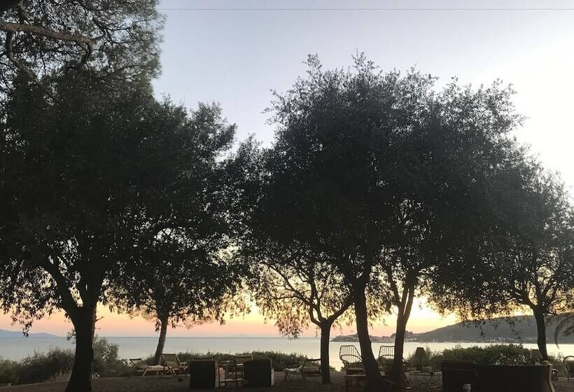 Bed and Breakfast Villa Talamo