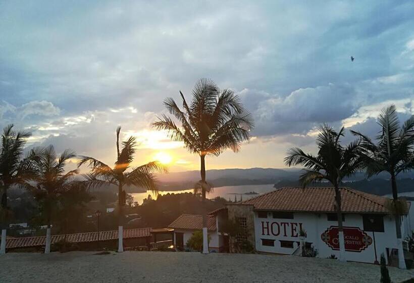 ホテル Zocalo Campestre