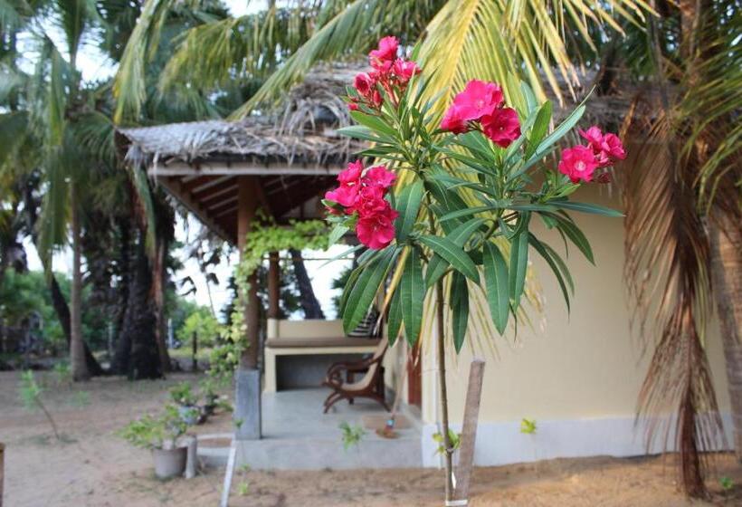 אתר נופש Anawasal