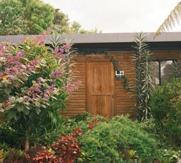 הוסטל Star Center Hotel Boutique, Centro De Entrenamiento Deportivo Y Conveniencias A Dos Pasos Del Aeropu