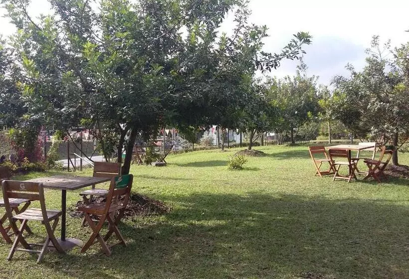 ユースホステル Star Center Hotel Boutique, Centro De Entrenamiento Deportivo Y Conveniencias A Dos Pasos Del Aeropu