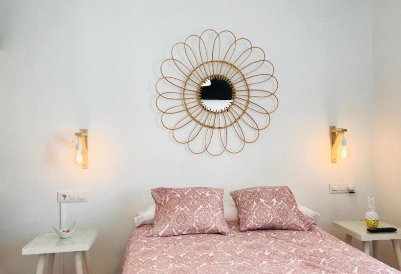 Bed and Breakfast El Paseo