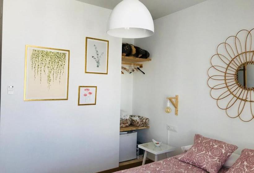 Bed and Breakfast El Paseo