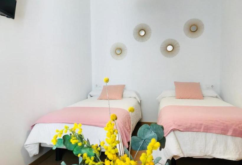 Bed and Breakfast El Paseo