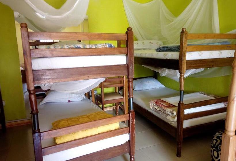 تختخواب و صبحانه Casa Del Turista