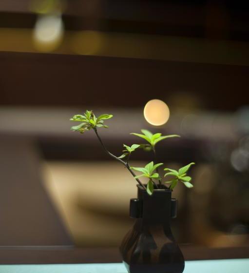 ホテル At Heart Zen