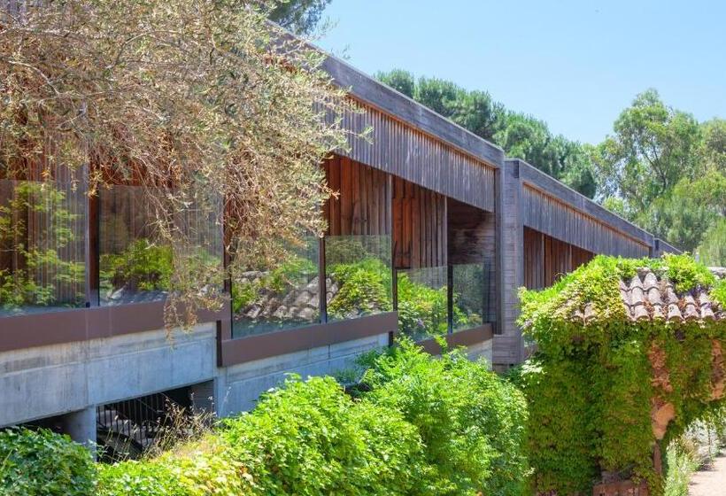 בית מלון כפרי Mas Pastora Adults Only