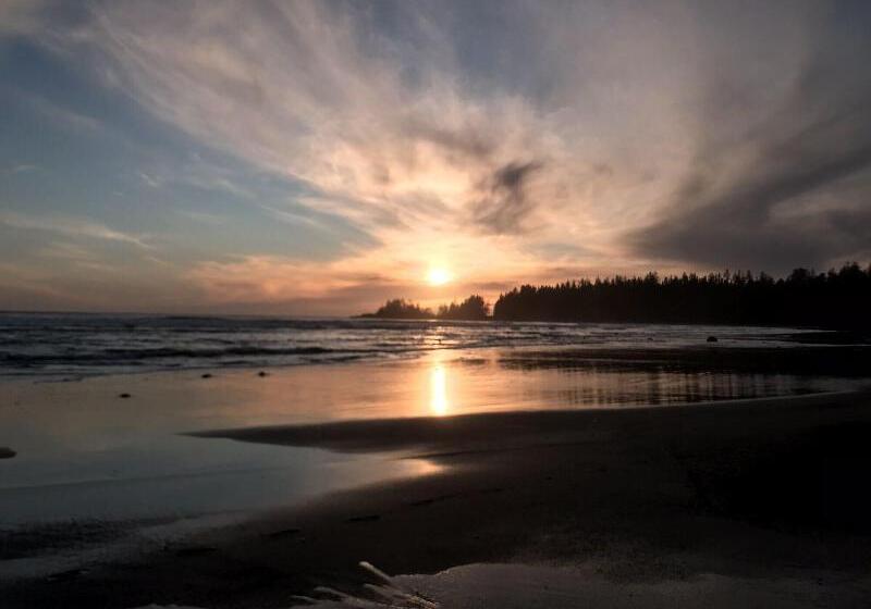 هتل The Francis Boutique Inn