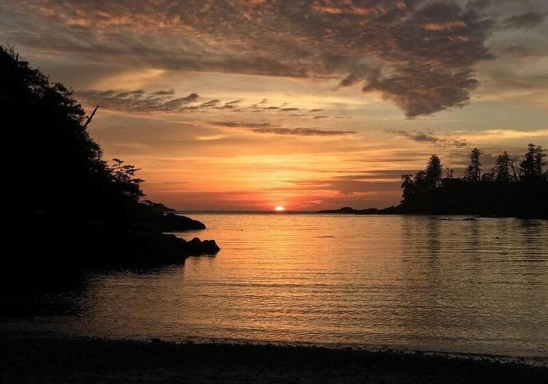 هتل The Francis Boutique Inn