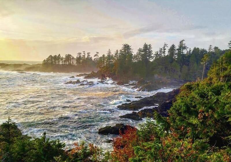 هتل The Francis Boutique Inn