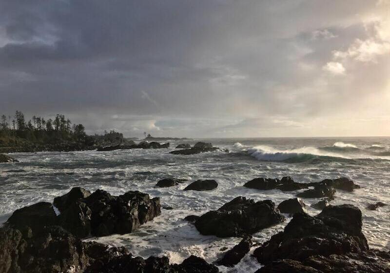 هتل The Francis Boutique Inn