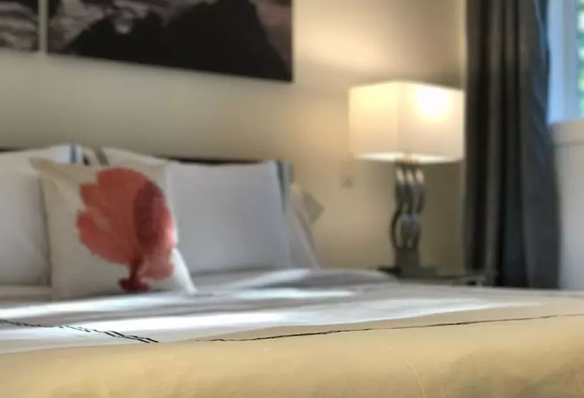 ホテル The Francis Boutique Inn