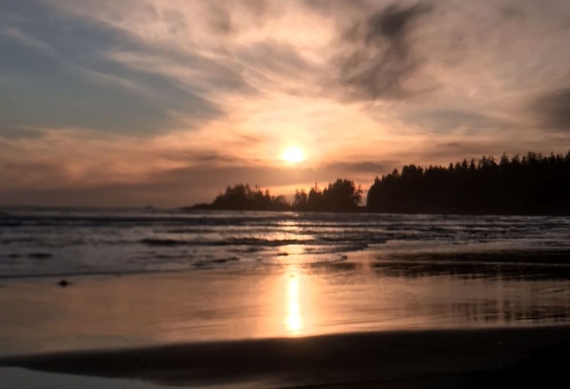 هتل The Francis Boutique Inn