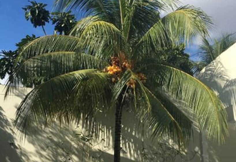 Amazonas Green Hostel