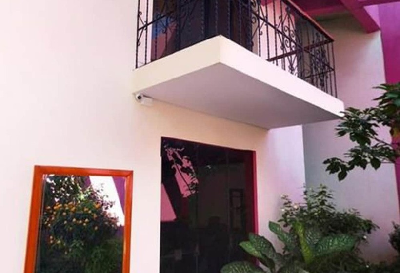 Amazonas Green Hostel