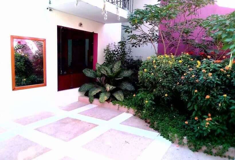 Amazonas Green Hostel