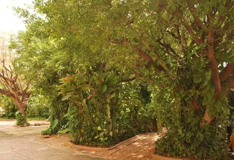 هتل La Hacienda
