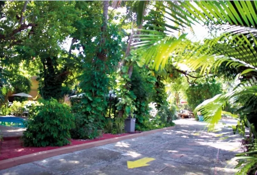 هتل La Hacienda
