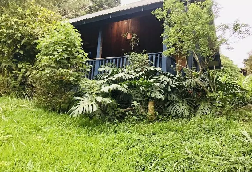 Hotelli Rainy Days B&b