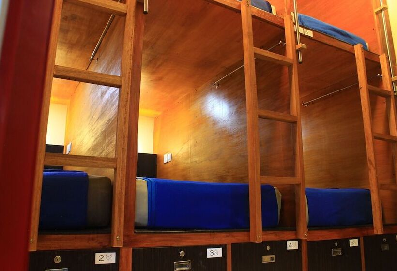 旅馆 Buton Backpacker Lodge