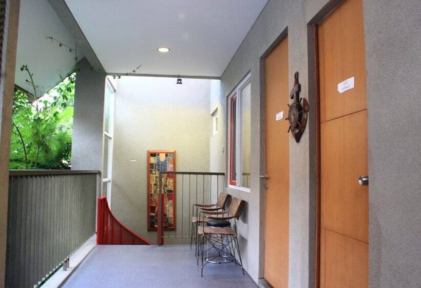 旅馆 Buton Backpacker Lodge