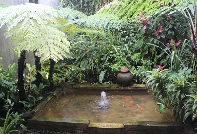 旅馆 Buton Backpacker Lodge