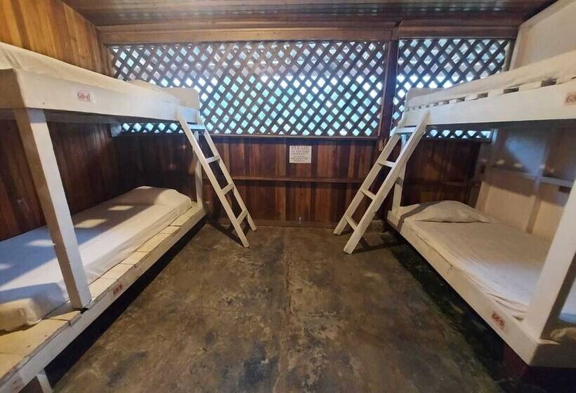 هاستل Puerto Viejo