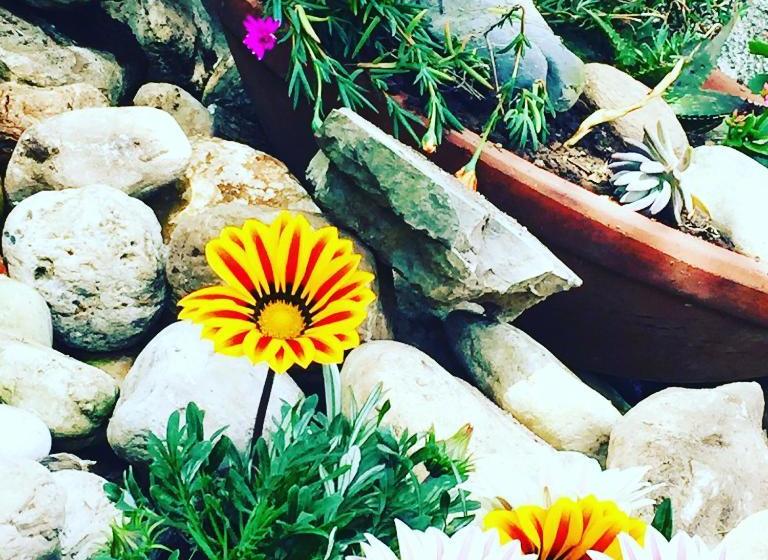 ベッドアンドブレックファースト Abbaino