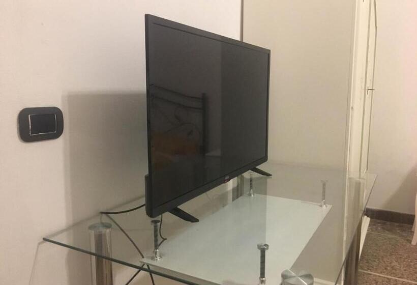 تختخواب و صبحانه Holiday Pisa Gare