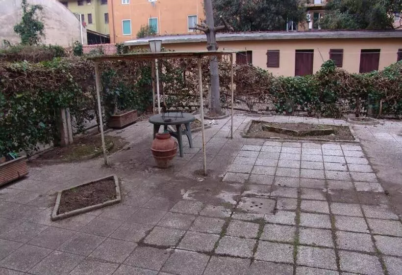 تختخواب و صبحانه Holiday Pisa Gare