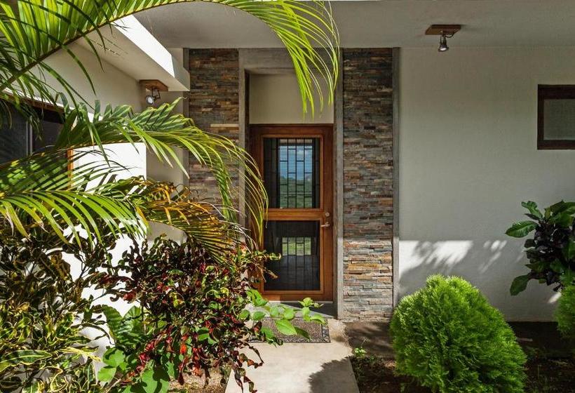 تختخواب و صبحانه Casa Chachacha