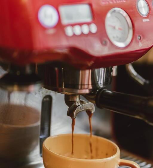 مبيت وإفطار Tempest On Wanaka