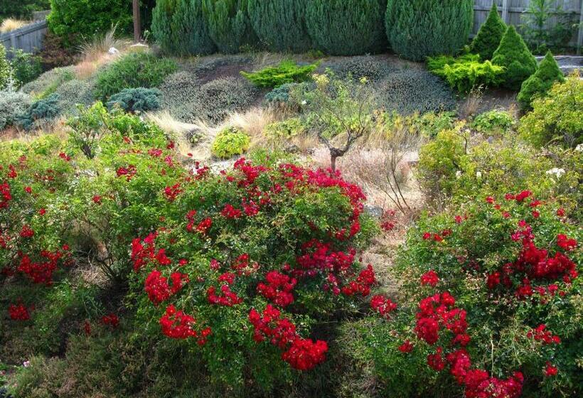 مبيت وإفطار Tempest On Wanaka